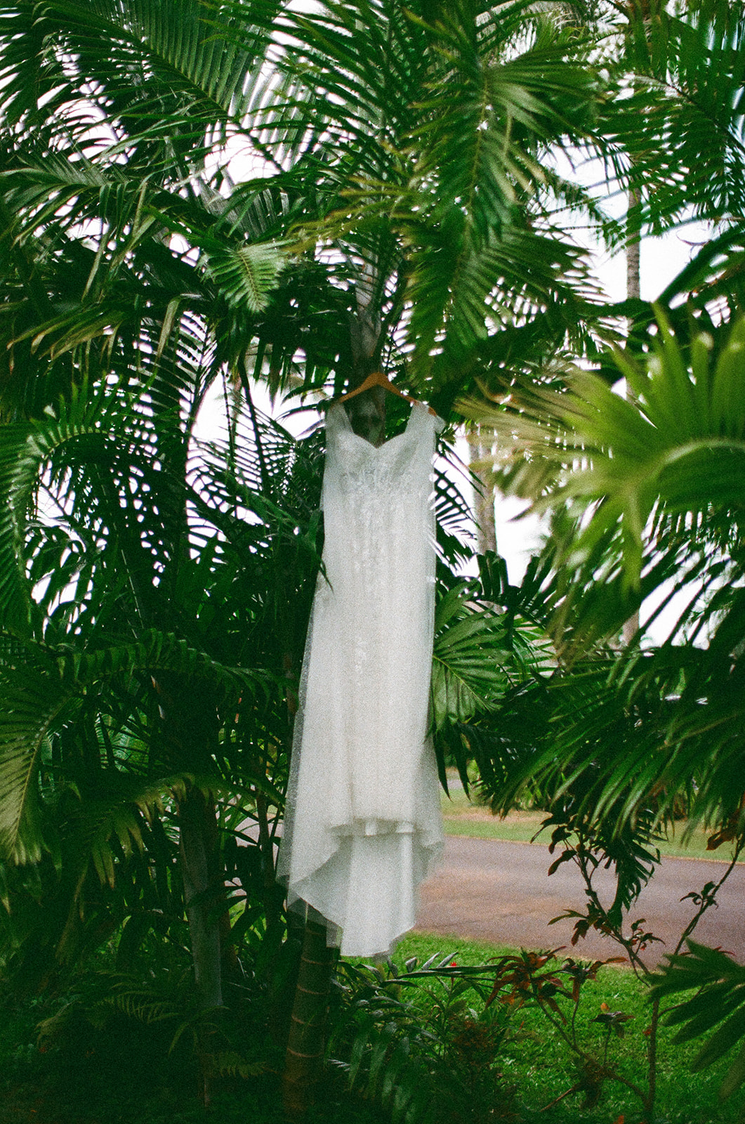 Some elopements feel like they were pulled straight out of a dream, and Courtnee and Joshua’s waterfall elopement in Kauai, Hawaii was exactly that. Surrounded by lush jungle, the sound of rushing water, and the soft island breeze, their day was intentional, intimate, and centered completely around the two of them.