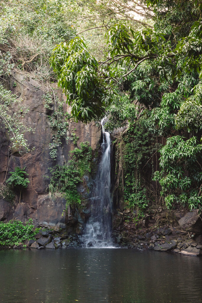 Some elopements feel like they were pulled straight out of a dream, and Courtnee and Joshua’s waterfall elopement in Kauai, Hawaii was exactly that. Surrounded by lush jungle, the sound of rushing water, and the soft island breeze, their day was intentional, intimate, and centered completely around the two of them.