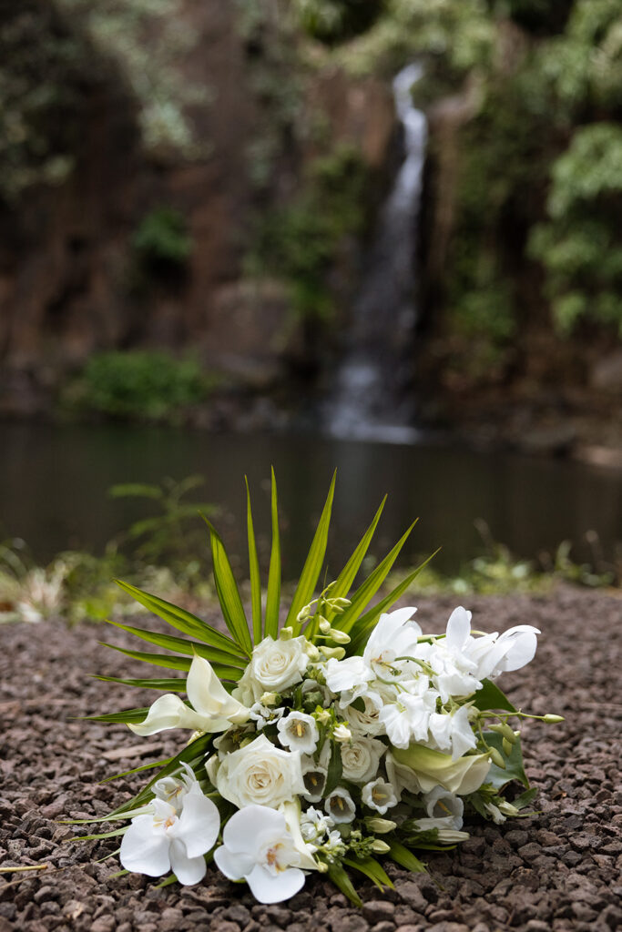 Some elopements feel like they were pulled straight out of a dream, and Courtnee and Joshua’s waterfall elopement in Kauai, Hawaii was exactly that. Surrounded by lush jungle, the sound of rushing water, and the soft island breeze, their day was intentional, intimate, and centered completely around the two of them.